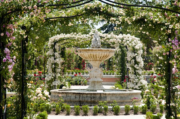 Le parc du Retiro 3