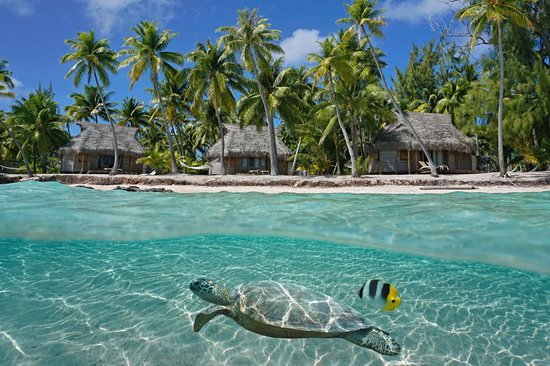 Tikehau