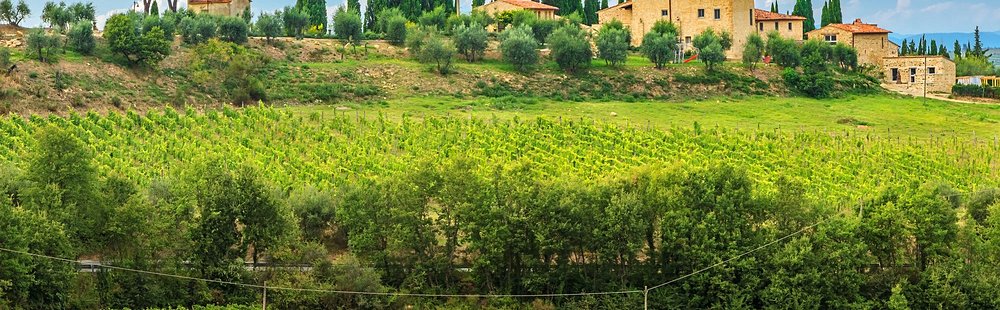 Vallée de Chianti