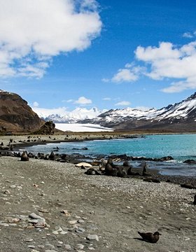 Les plus beaux lieux de l' Antarctique