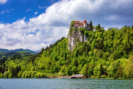 Château de Bled