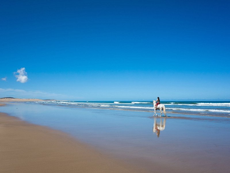 La plage d’Essaouira