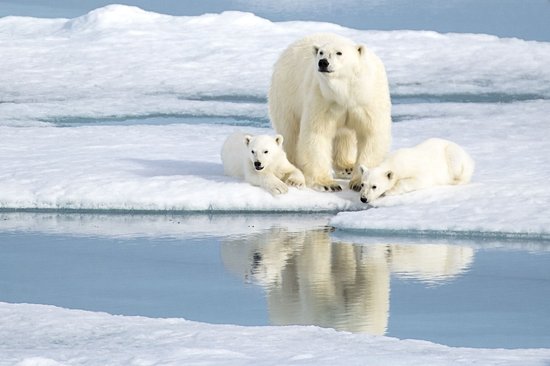 Svalbard