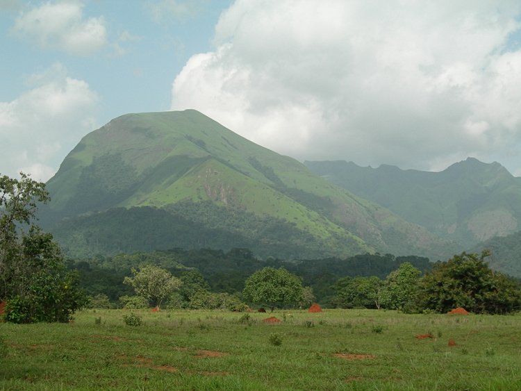 La réserve naturelle du mont Nimba