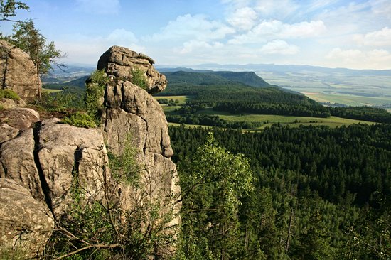 Parc national des Monts tabulaires