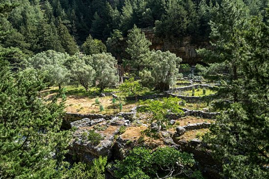 Ancien village de Samaria