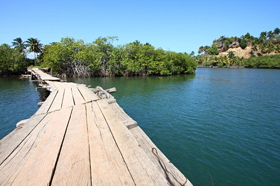 Parc national Alejandro de Humboldt