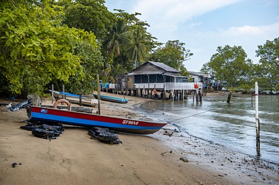 Faire une randonnée en kayak autour de Pulau Ubin