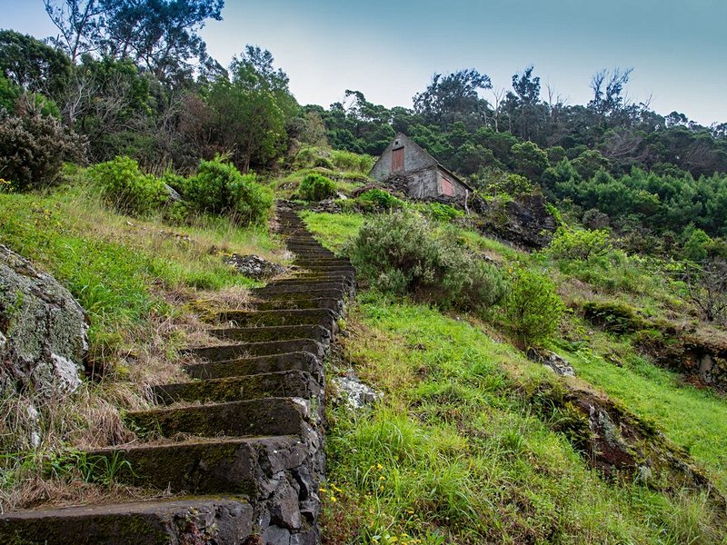 Levada do Canical au Vereda do Larano