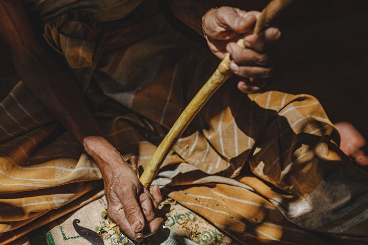 Sri Lanka – Triangle des épices