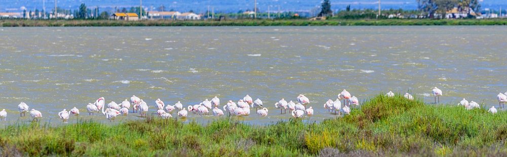 Delta de l’Ebre