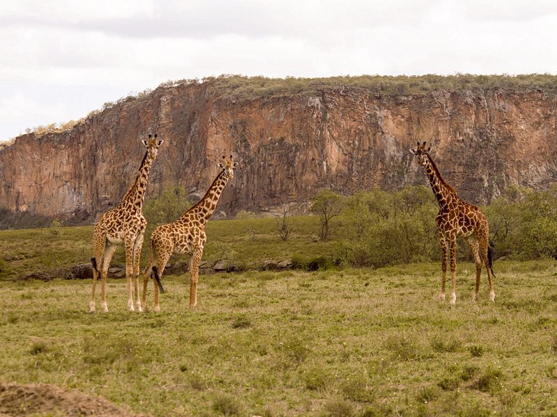 Parc national de Hell's Gate