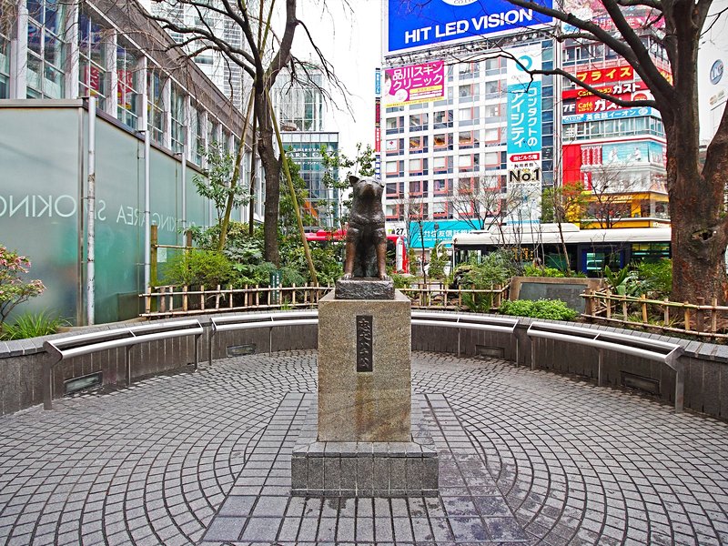 Shibuya et la statue de Hachiko
