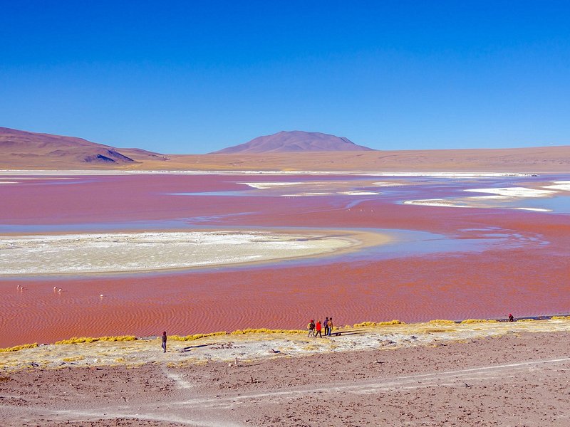 Laguna Colorada