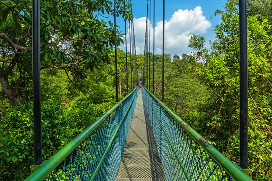MacRitchie Reservoir