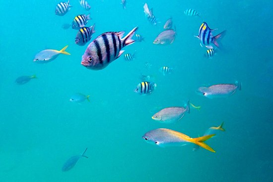 Les plages de Koh Kut