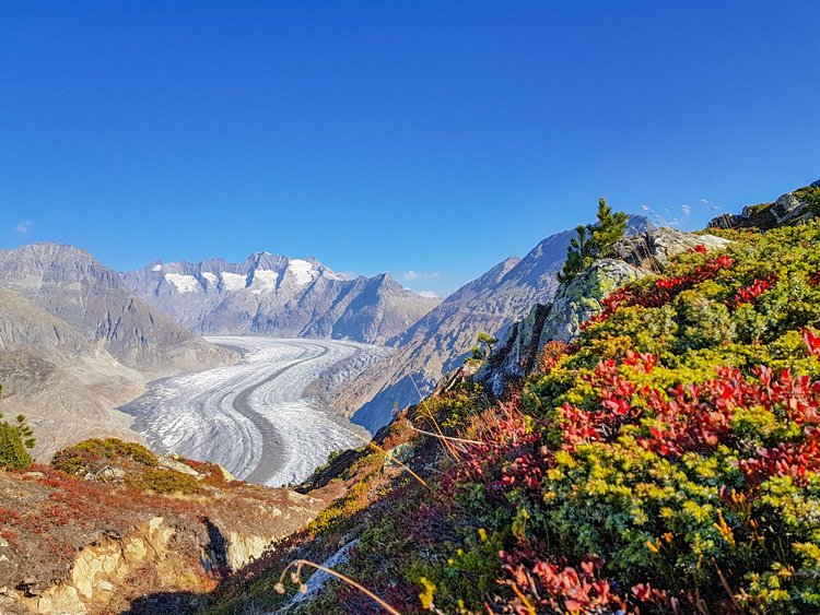 Le glacier d'Aletsch