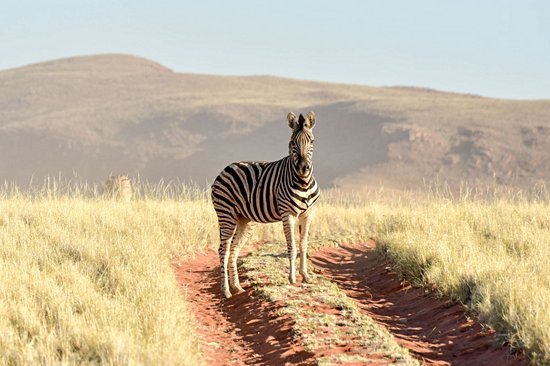 Réserve de NamibRand Nature