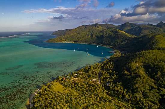 Baie de Cook