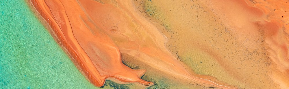 Baie Shark