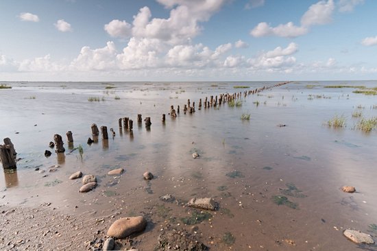 Île de Romo