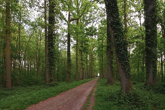 Parc d'Enghien