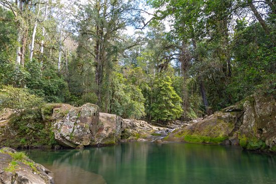 Parc national de Barrington Tops