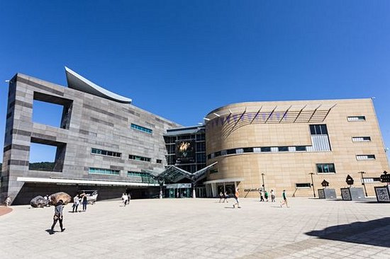Visiter le musée de Te Papa à Wellington   