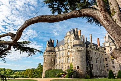 Châteaux d'Anjou