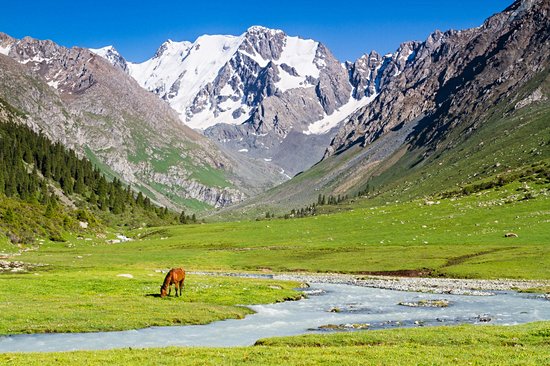 Le Tian Shan