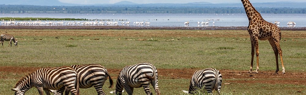 Lac Manyara