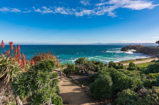 Monterey
