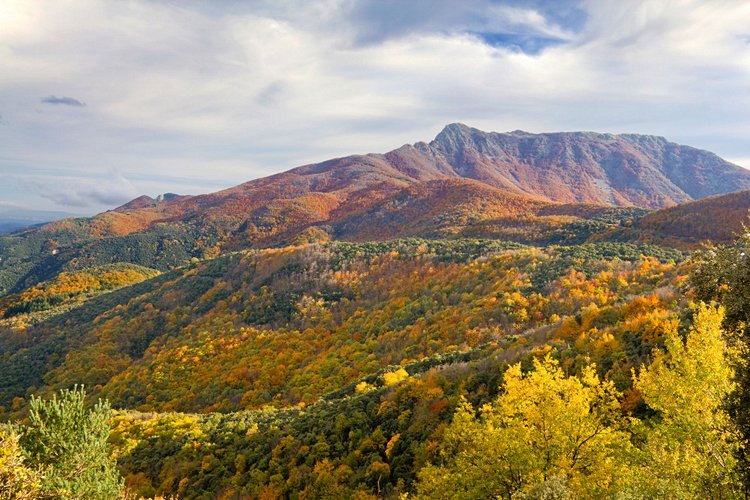 Le parc naturel de Montseny 3
