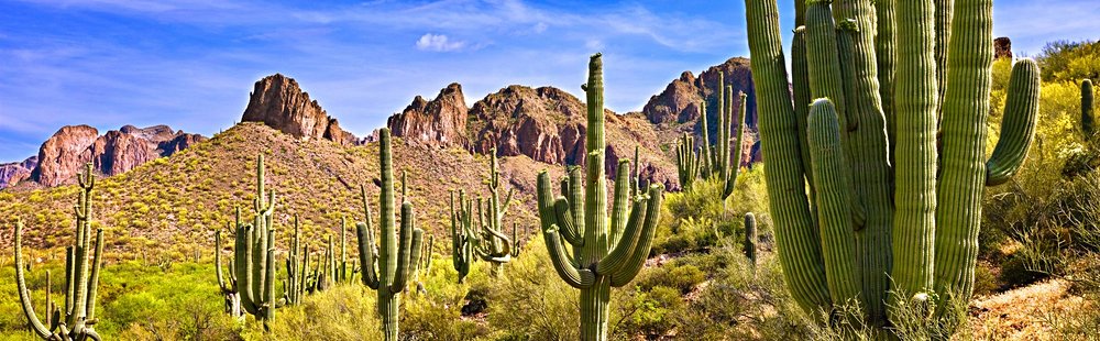 Saguaro, Arizona