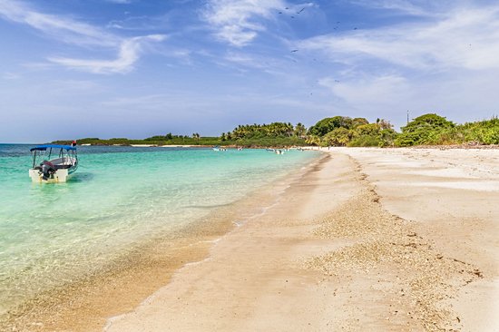 Île Iguana