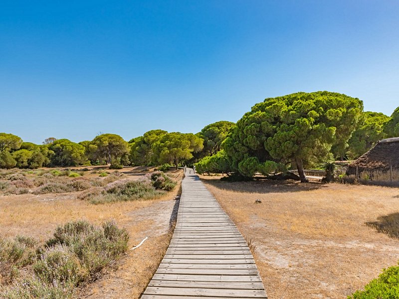 Parc national de Doñana