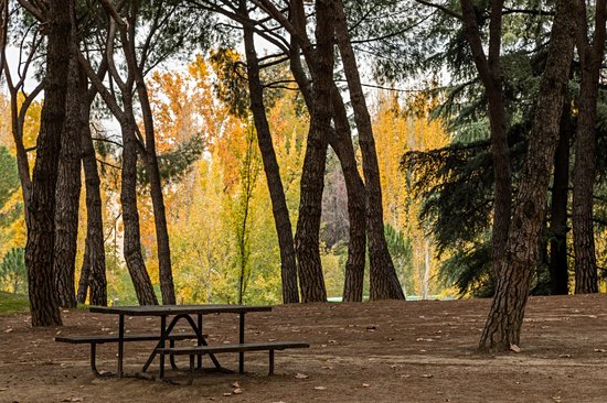 Parc de l'Ouest