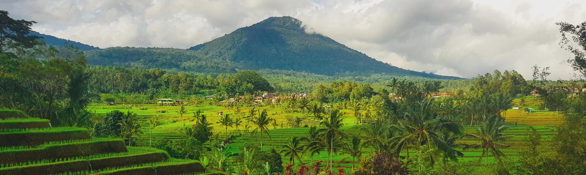 Bali