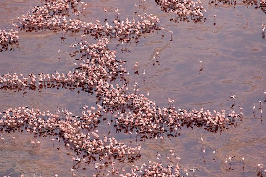 Le lac Natron