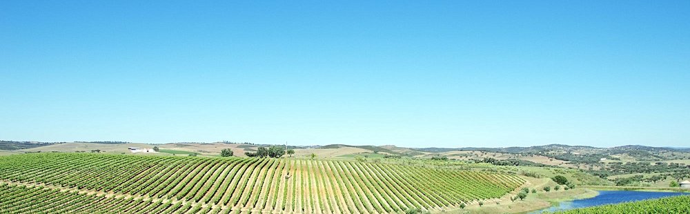 Route des vins de l'Alentejo