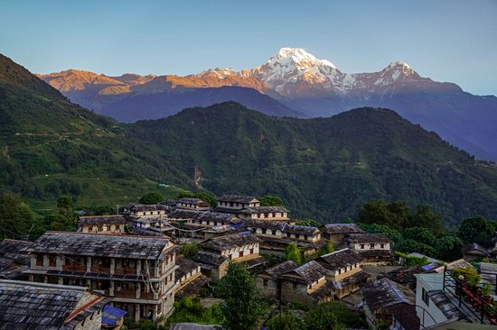 Trek dans les Annapurnas