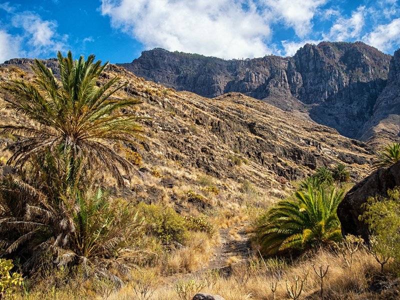 Le Barranco de Guayadeque