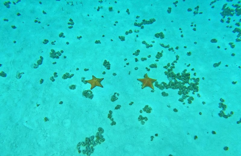 plage El Cielo