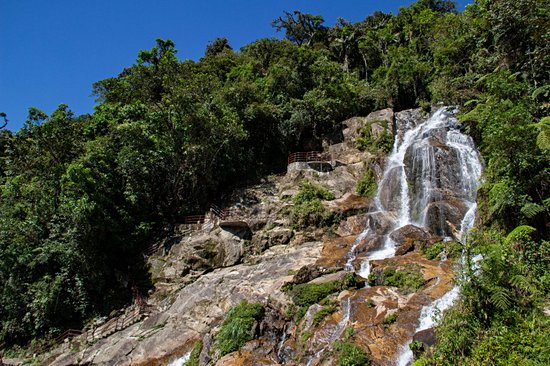 Parc national Podocarpus