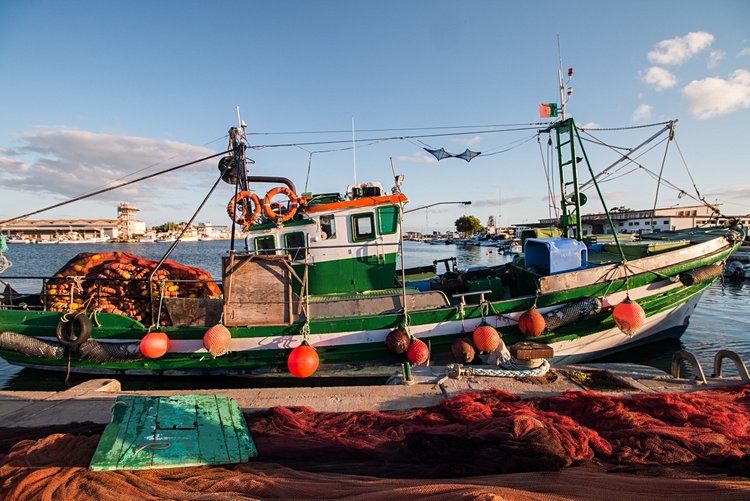 Olhao 2