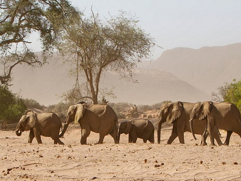 Le Damaraland