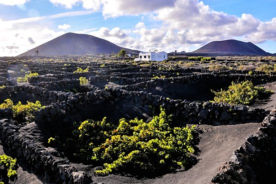 La Geria-Route des vins