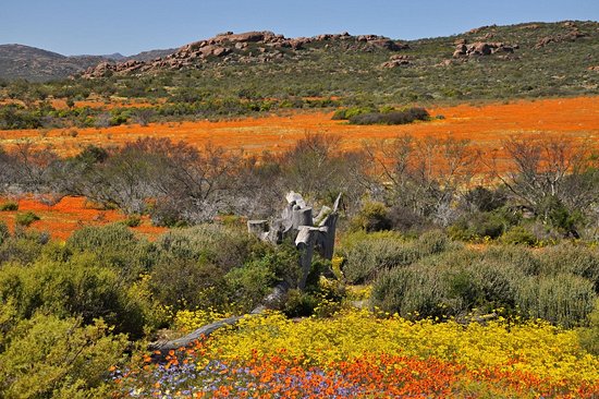 Parc national Namaqua