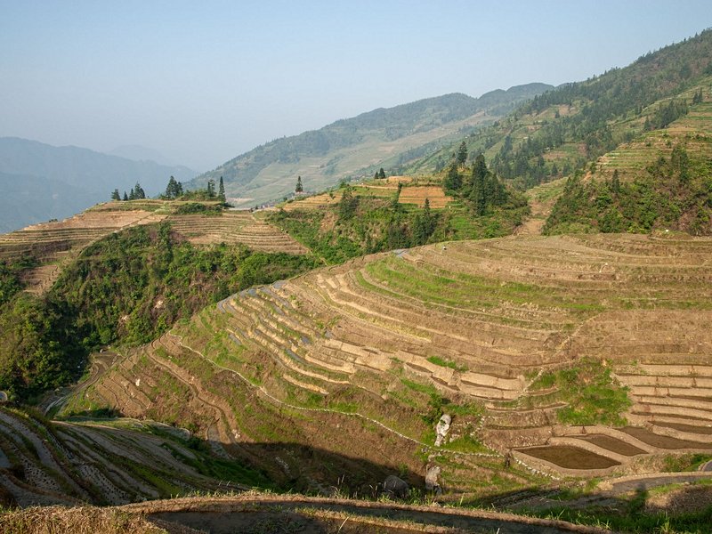 Les rizières du dos du dragon