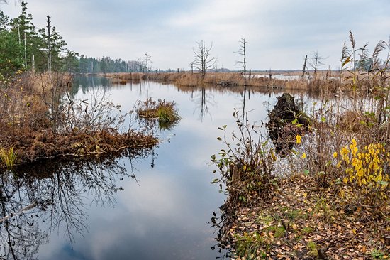 Parc national de Ķemeri